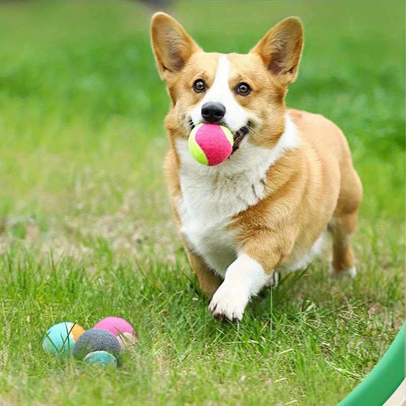 1/2pcs Balls Toy Solid Hard Ba - đánh giá và giá Kids Outdoor Yard Games