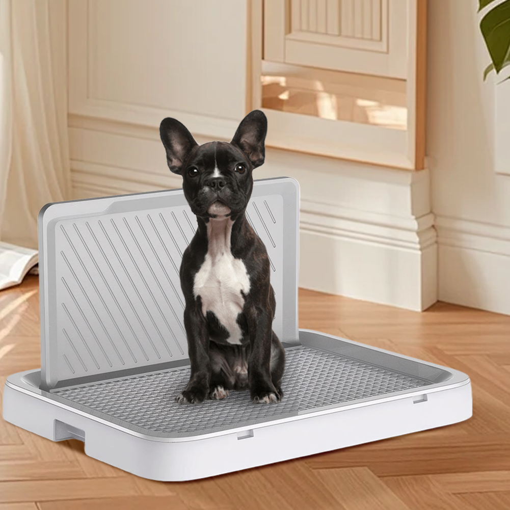 Dog Potty Tray with Pee Wall T - đánh giá và giá Sprinkler Splash Pad