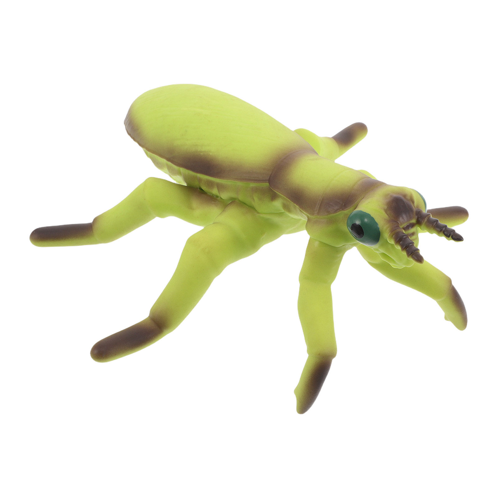 Realistic Grasshopper and Mant - đánh giá và giá Kids Outdoor Play Yard