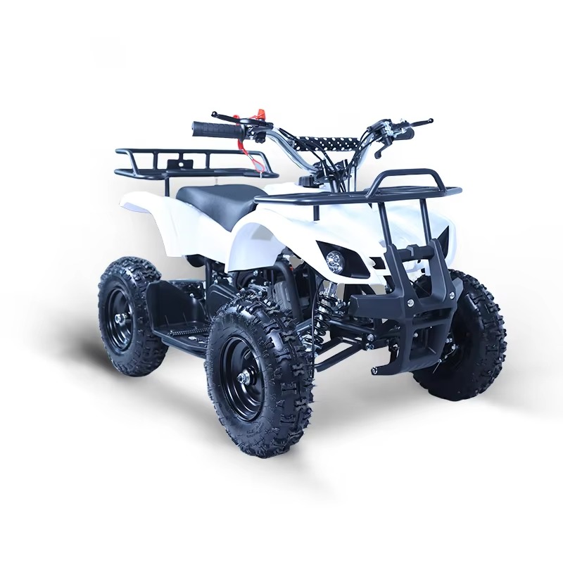 49cc Mini ATV Kids Quad Bike 2 - đánh giá và giá Kids Outdoor Quad