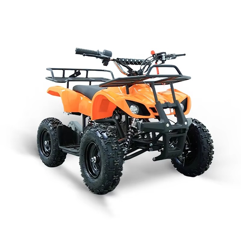 49cc Mini ATV Kids Quad Bike 2 - đánh giá và giá Kids Outdoor Quad