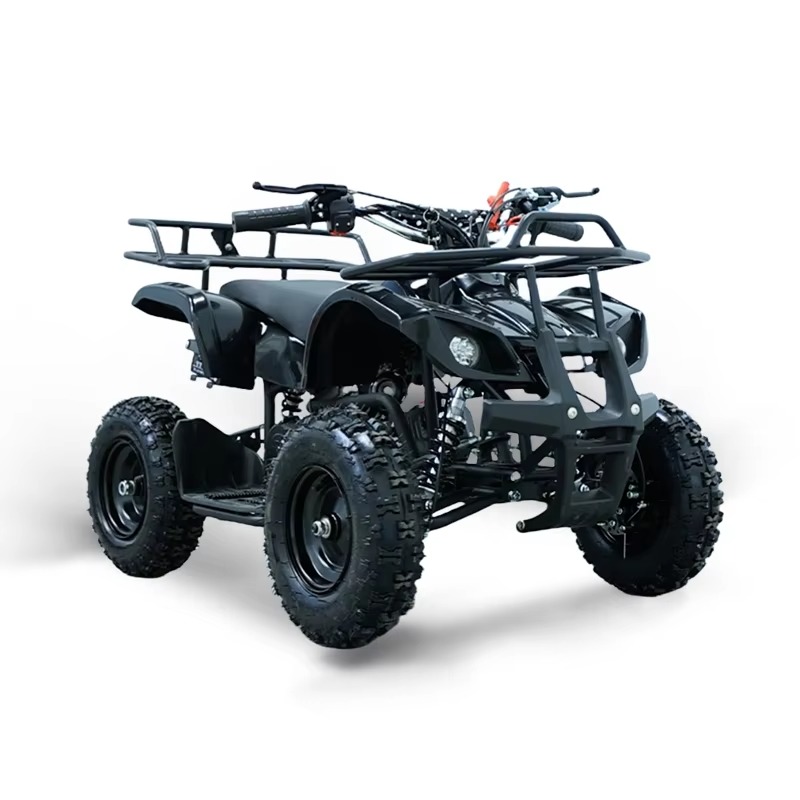 49cc Mini ATV Kids Quad Bike 2 - đánh giá và giá Kids Outdoor Quad